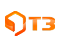 T3